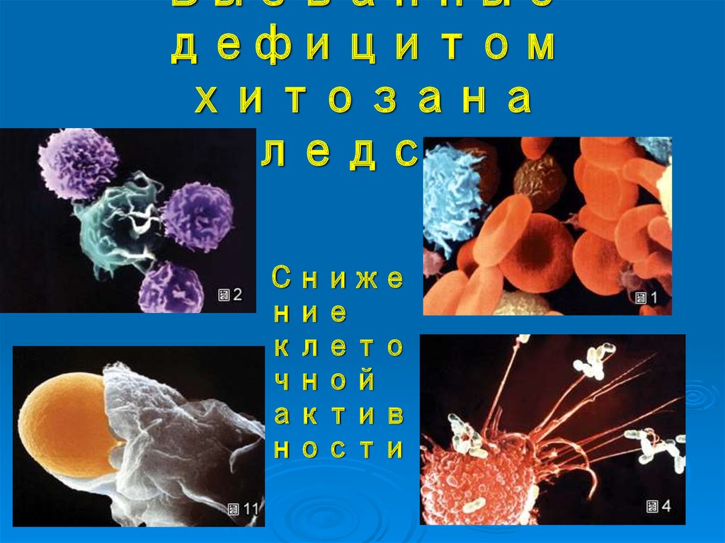 Вызванные дефицитом хитозана последствия