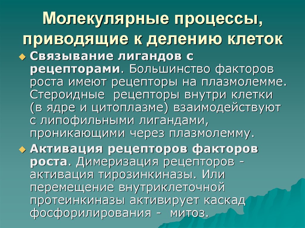 Молекулярные процессы расщепления