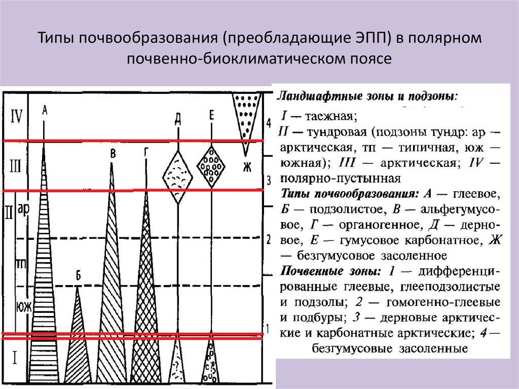 Общая схема почвообразования