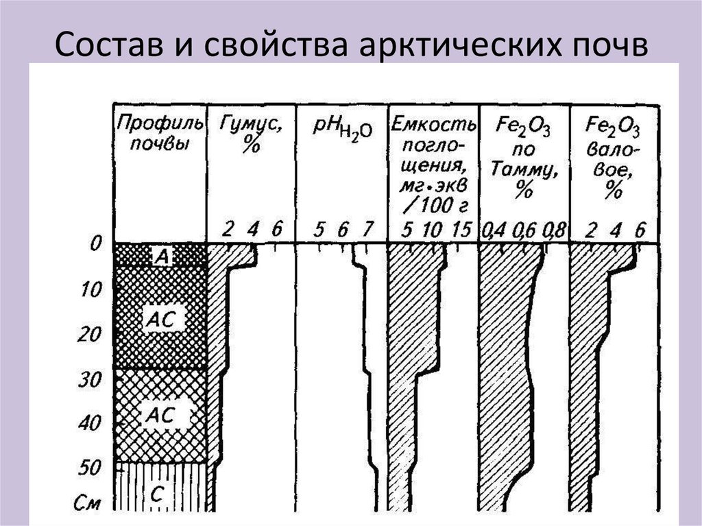 Почвенный профиль схема