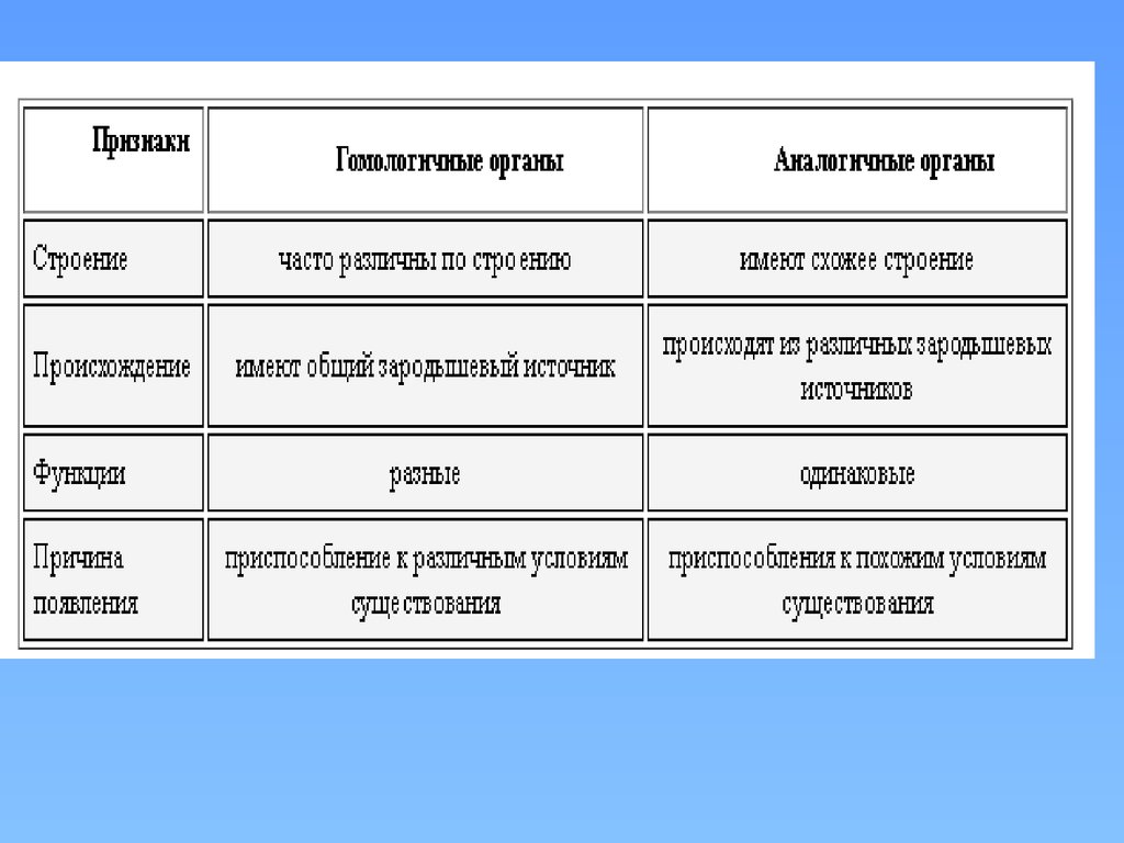 Гомологичные органы 2 аналогичные органы