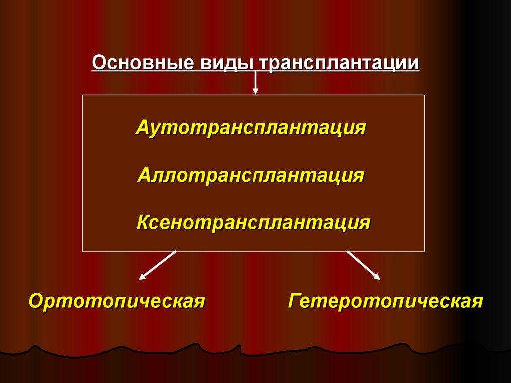 Виды трансплантации презентация