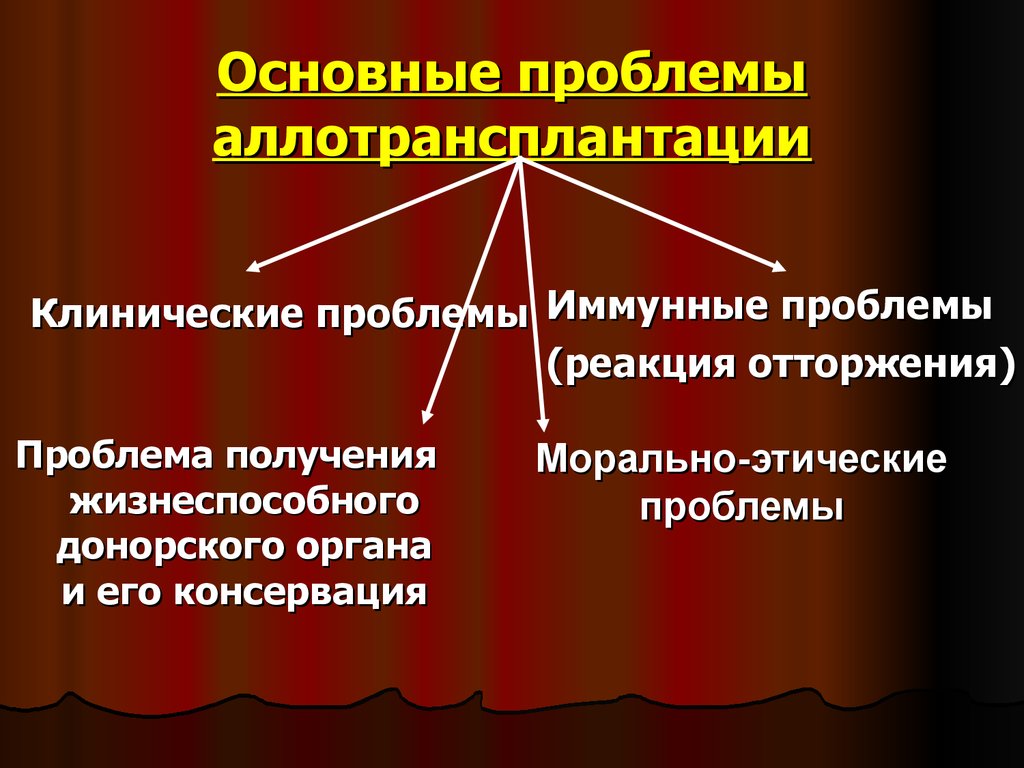 Этические проблемы ксенотрансплантации презентация