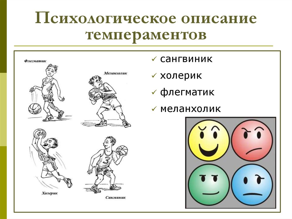 Влияние темперамента на характер человека презентация