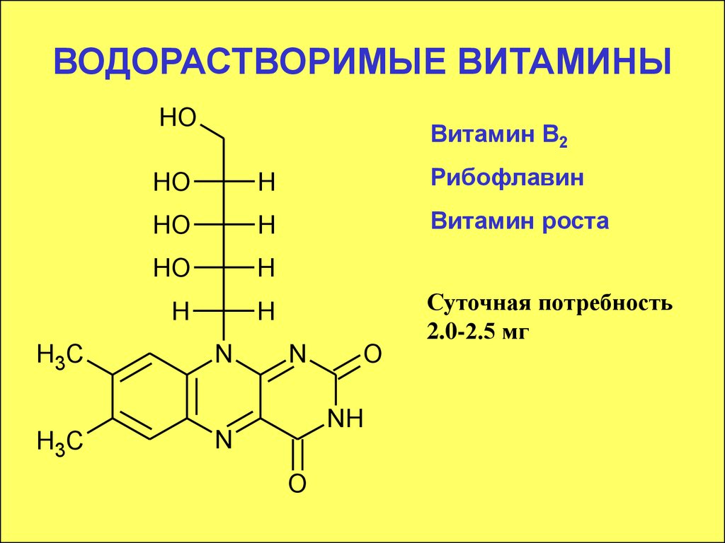 Водорастворимые витамины картинки