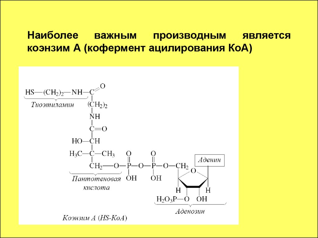 Коа кофермент. HS KOA кофермент. KOA формула биохимия. КОА фермент формула. Структура ацетил коэнзим а.