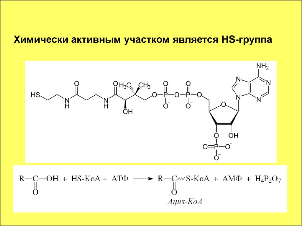 Химически активная частица