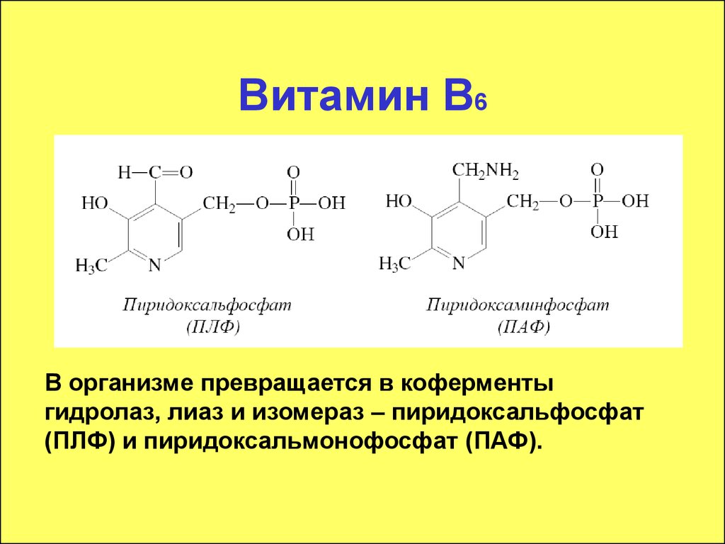 Синтез кофермента. Структура витамина b6. Кофермент в6 пиридоксин. Кофермент витамина в6. Пиридоксаль кофермент.
