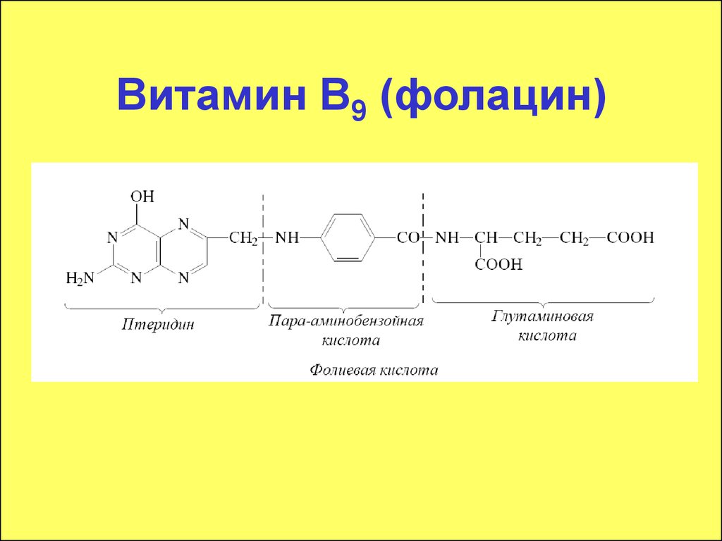 Витамин б9 презентация