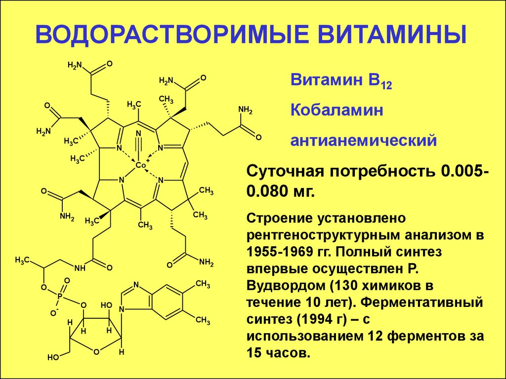 Роль водорастворимых витаминов