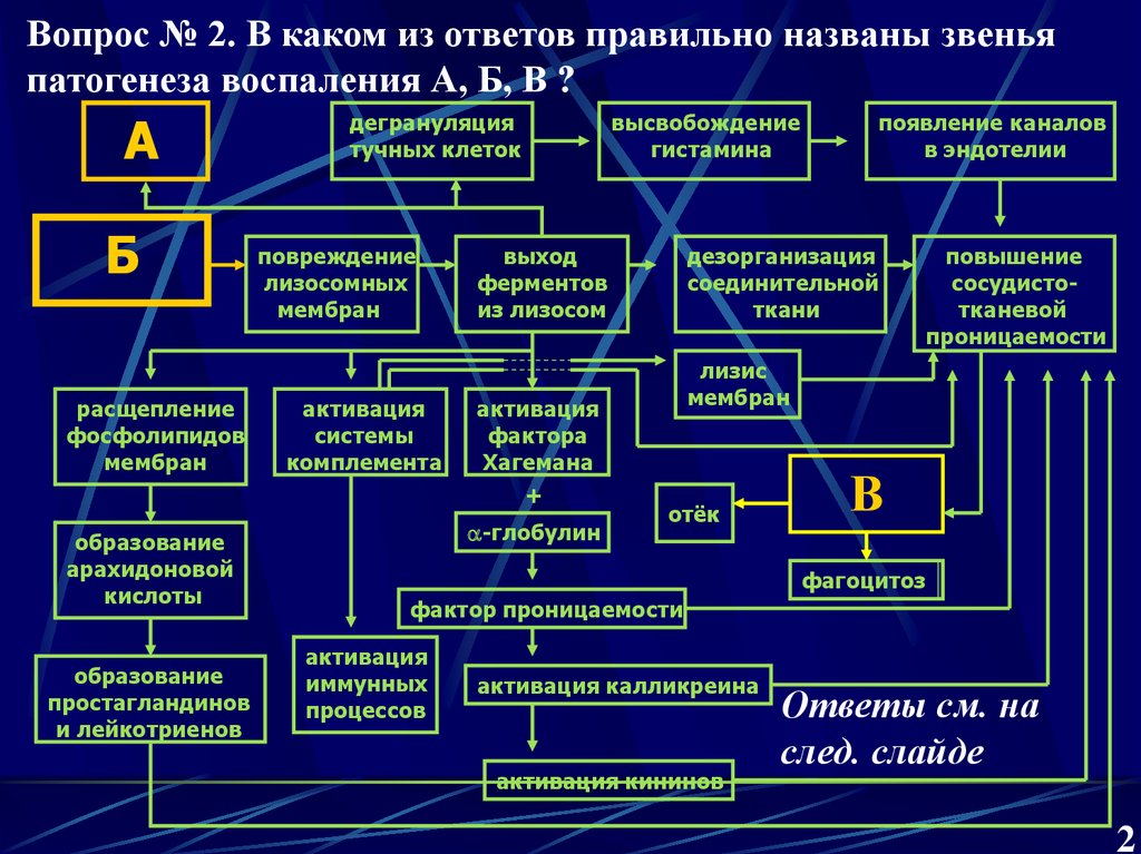 Механизм развития воспалительного процесса