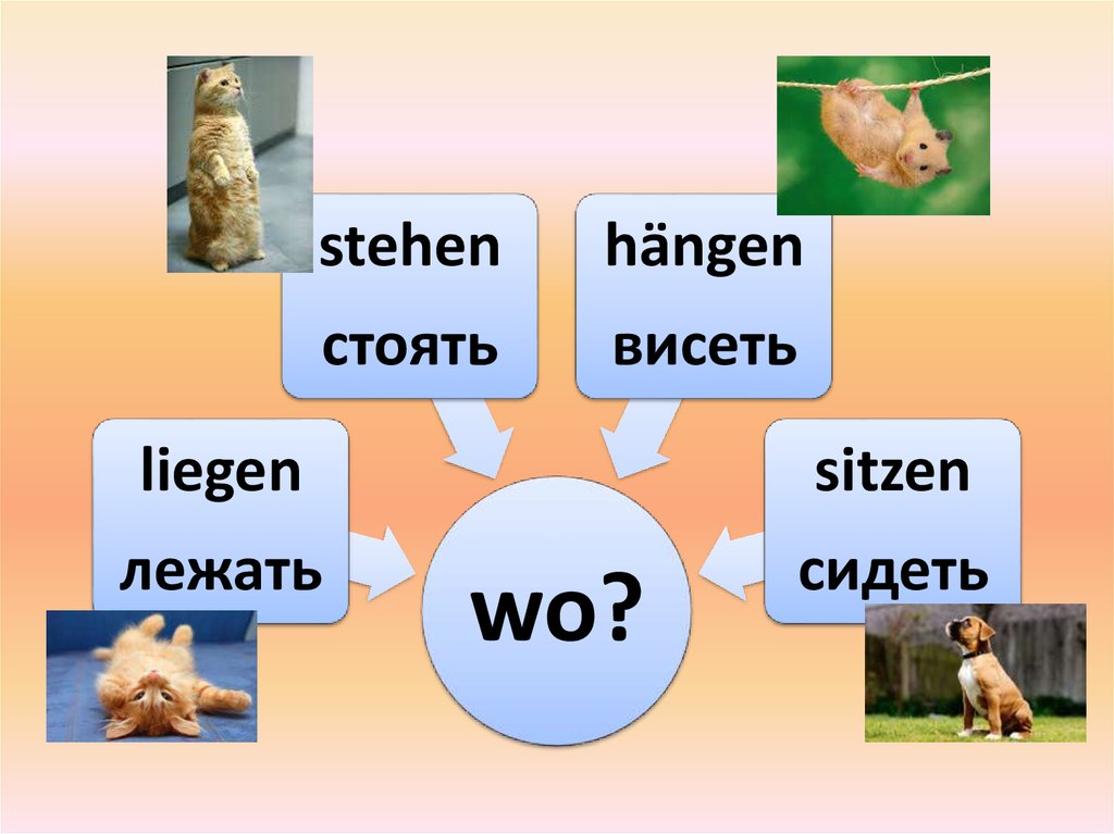 Висят глагол какой. Спряжение глаголов stehen, liegen, hängen. Stehen, liegen, hängen, sitzen спряжение. Глагол висеть. Глагол sitzen.