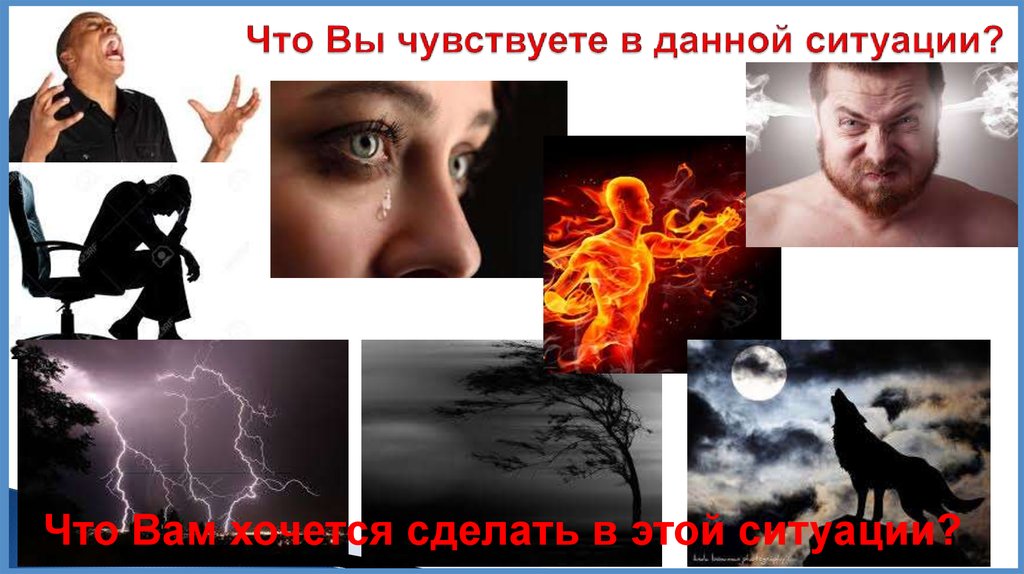 Что Вы чувствуете в данной ситуации?