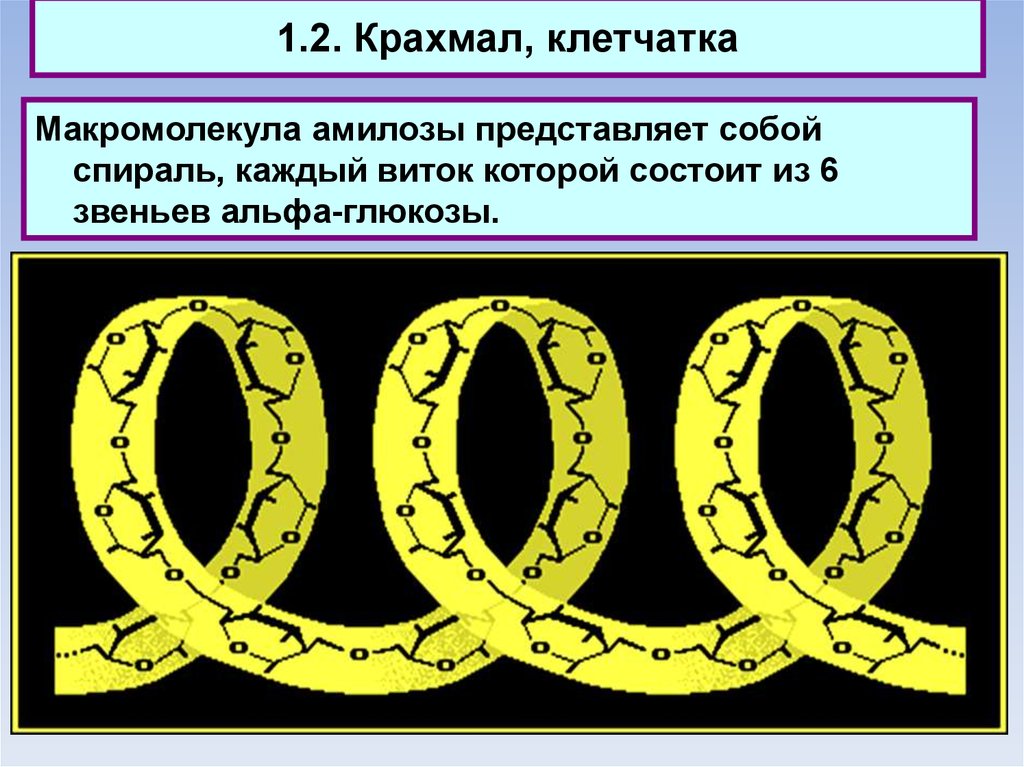 1 6 представляет собой. Макромолекула амилозы. Строение амилозы спираль. Макромолекула амилозы представляет собой. Макромолекула амилозы формула.