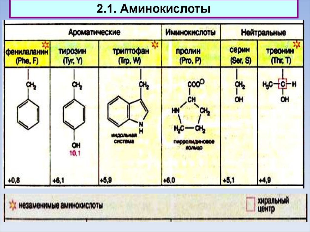 Фенилаланин аминокислота формула. Ароматические аминокислоты. Ароматические аминокислоты формулы. Нейтральные аминокислоты. Пролин ароматическая аминокислота.