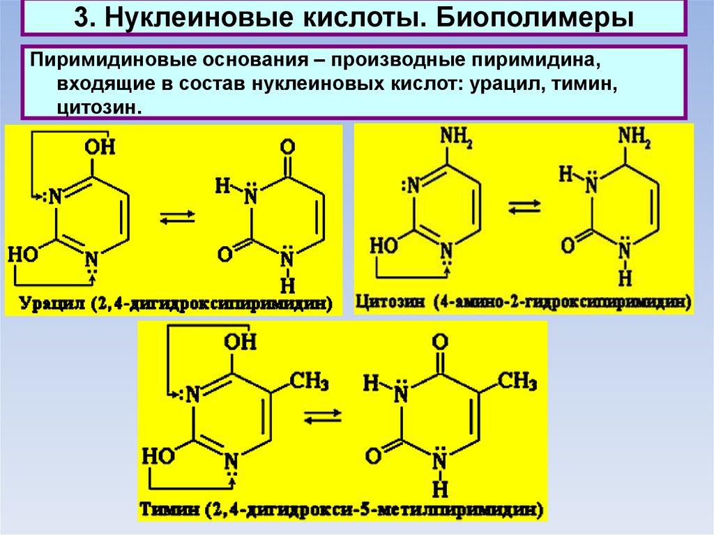 Элемент входящий в нуклеиновые кислоты. Тимин это пиримидиновые основания. Пиримидиновые производные нуклеиновых кислот. Тимин нуклеиновая кислота. Пиримидиновые основания нуклеиновых кислот.