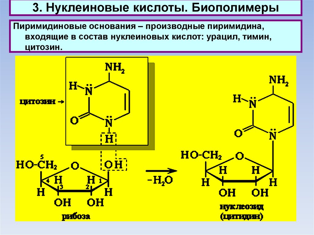 пиримидин производные пиридина. биологически важные производные пиримидина. производные пиримидина структурные формулы. производные пиримидина урацил цитозин тимин. барбитураты это производные пиримидина.