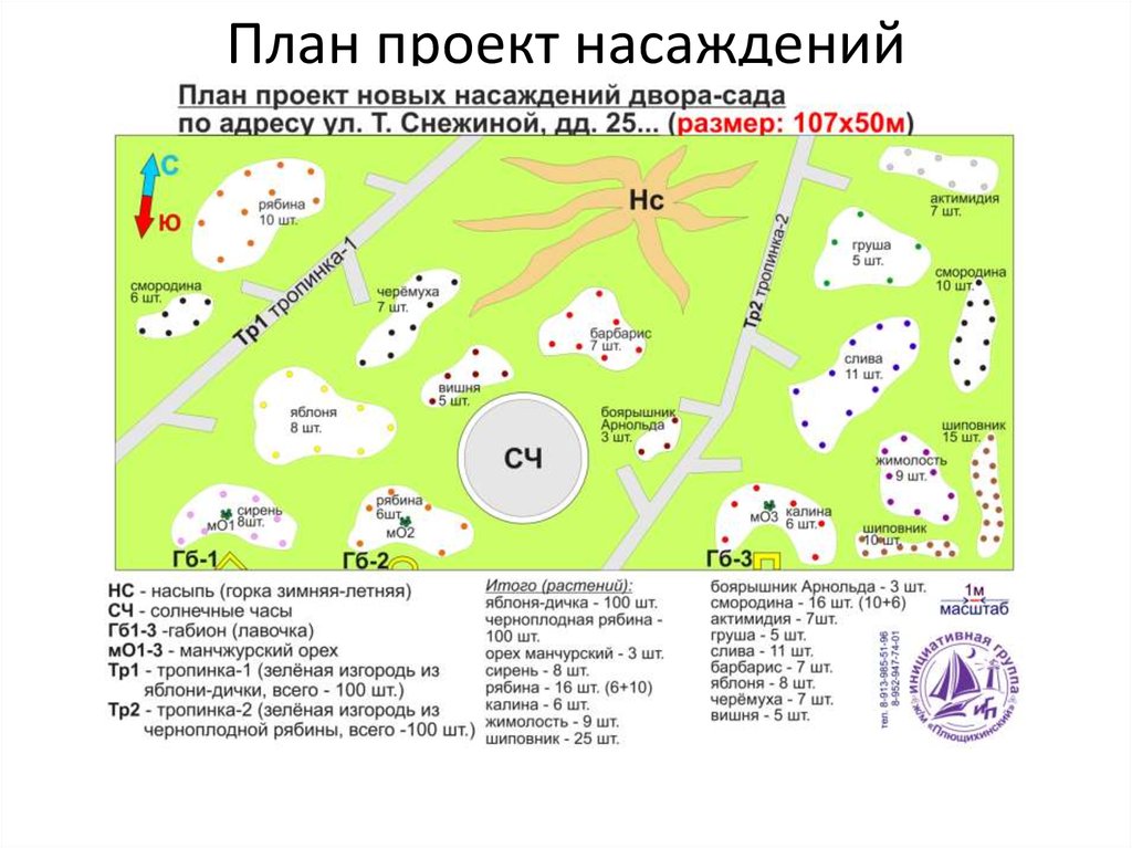 Реестр зеленых насаждений москвы. Карта зеленых насаждений Москва. План с дички. Реестр зеленых насаждений. Как собирать план.