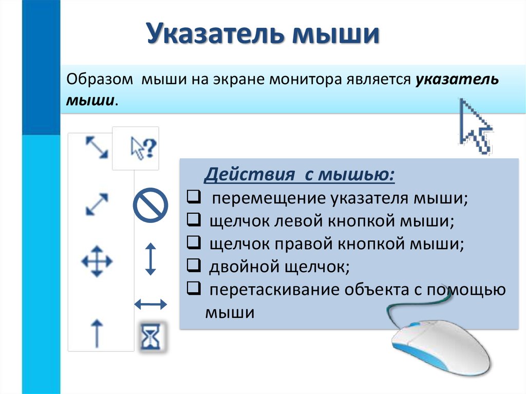 Информация о местоположении курсора указывается в строке. Указатель мыши. Формы указателя мыши.