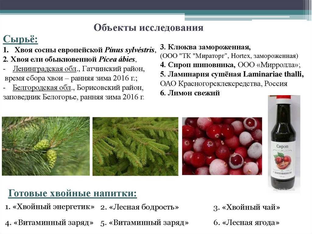 Хвойная кислота. Витамин с в хвое. Содержание витамина с в хвое. Хвоя ели витамины. Состав хвои ели.