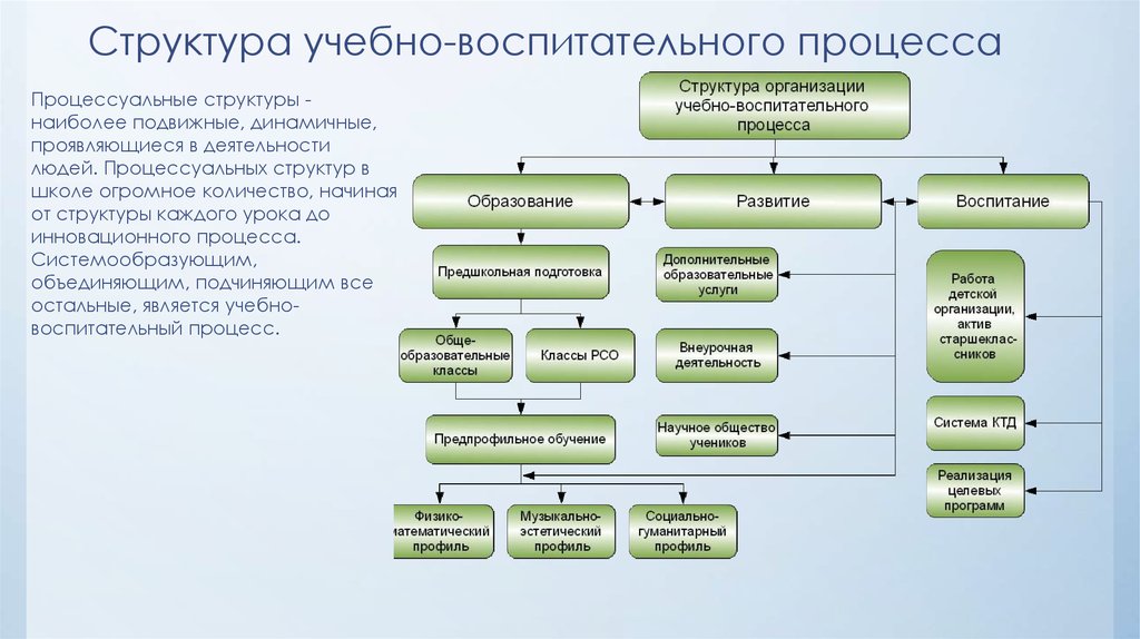 Презентация на тему структура образовательного процесса