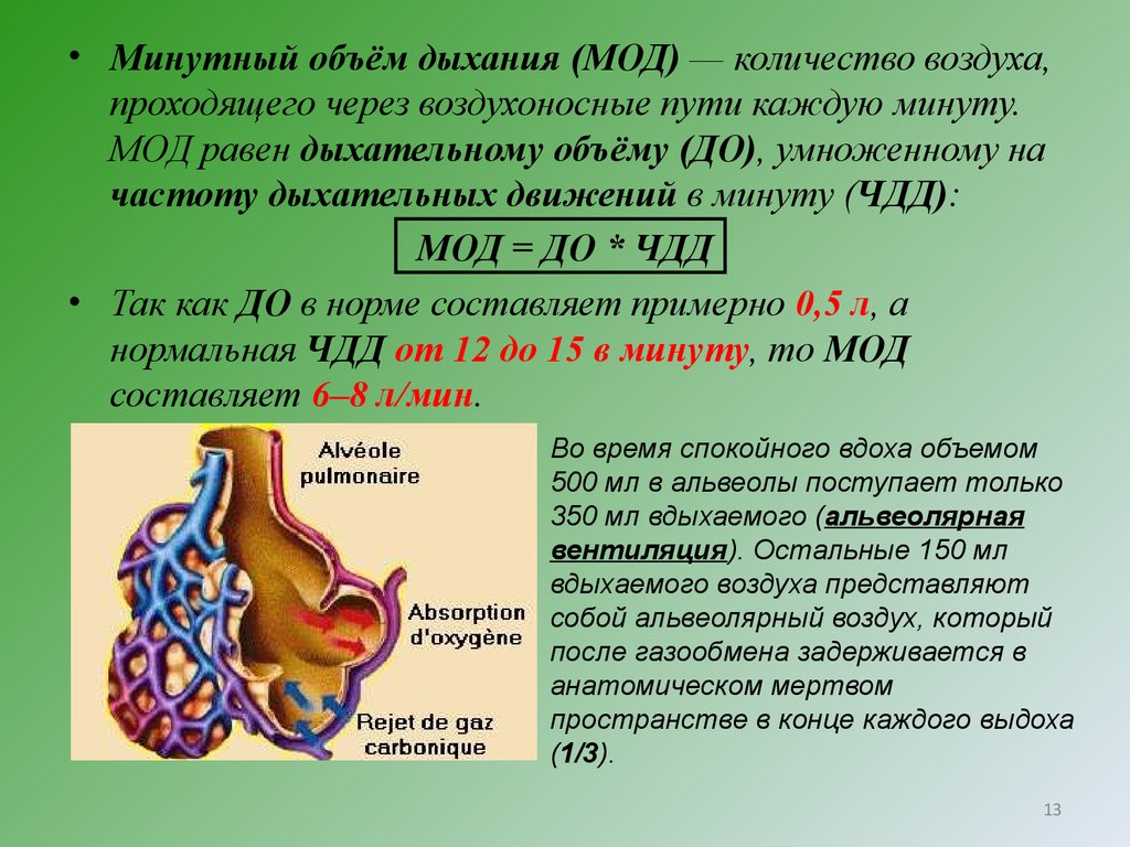 Сколько мод. Вычисление минутного объема дыхания. Минутный объем дыхания (мод) нормы. Минутный объем дыхания физиология. Методы определения минутного объема дыхания.