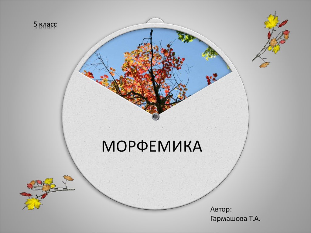 Морфемика 5 класс презентация