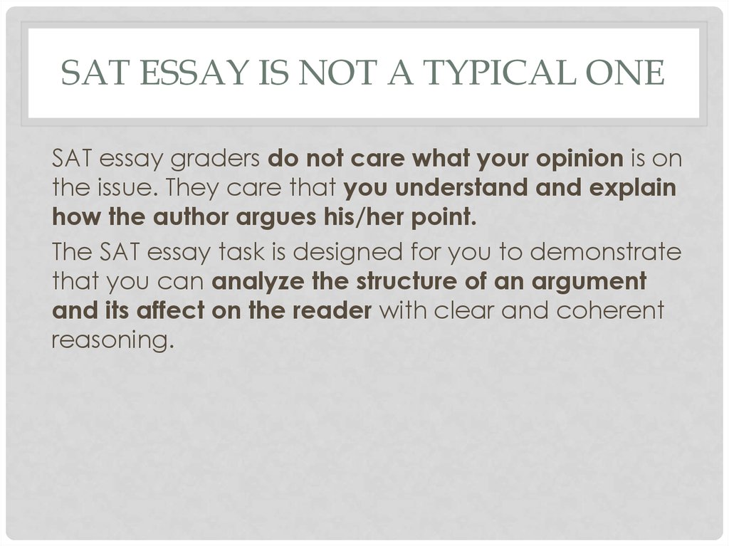 how to write an essay in english