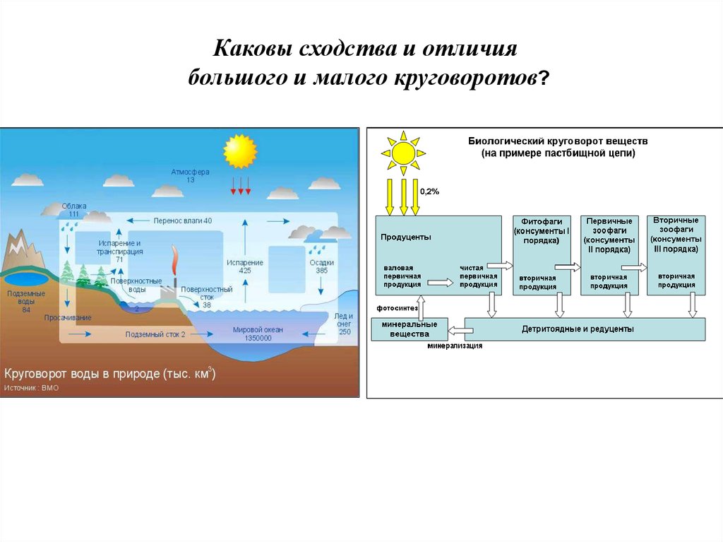 Круговорот воды в биосфере презентация 10 класс