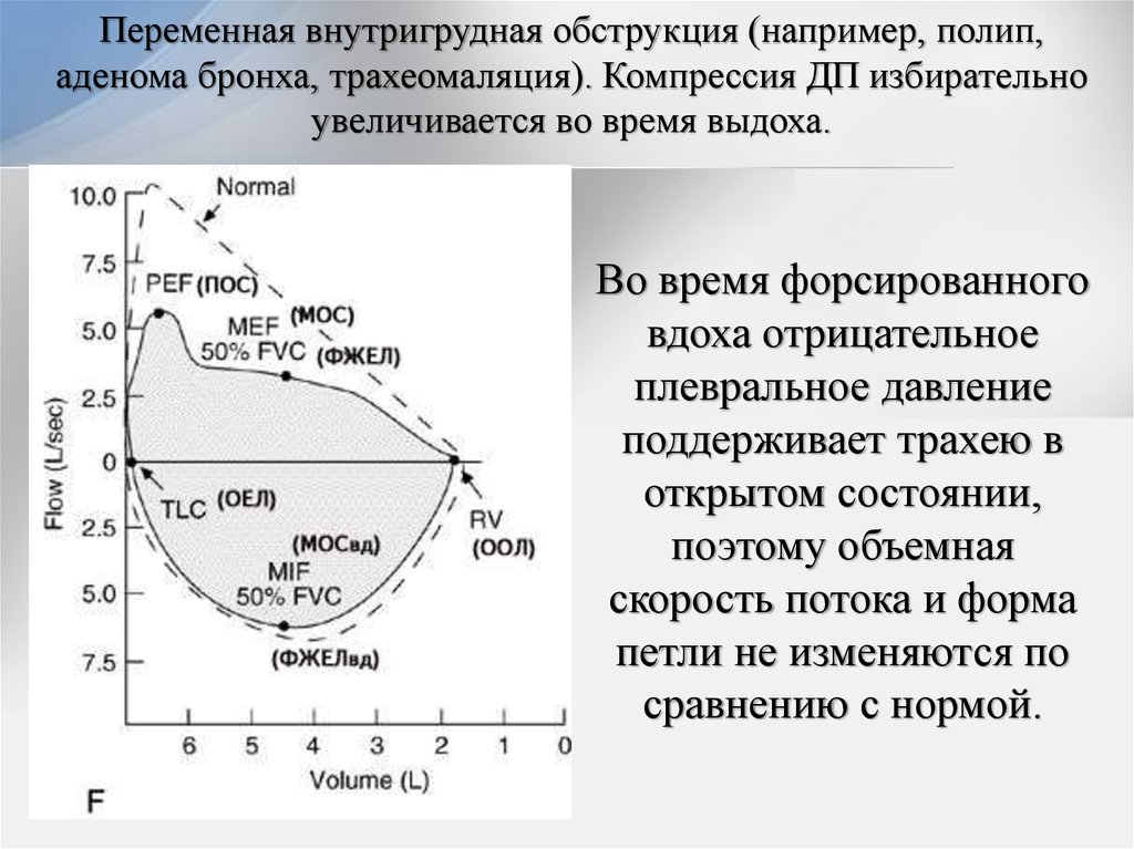 Презентация по спирометрии