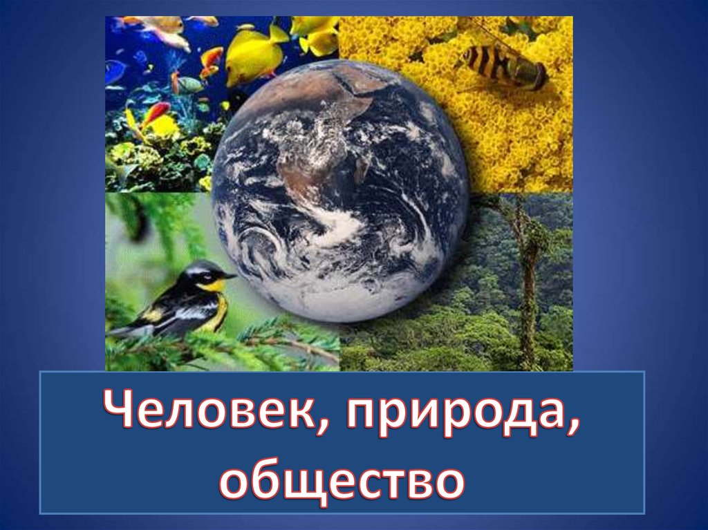 Совокупность природы и общества. Человек общество природа. Человек общество природа Обществознание. Природа человека Обществознание. Человек общество природа презентация.