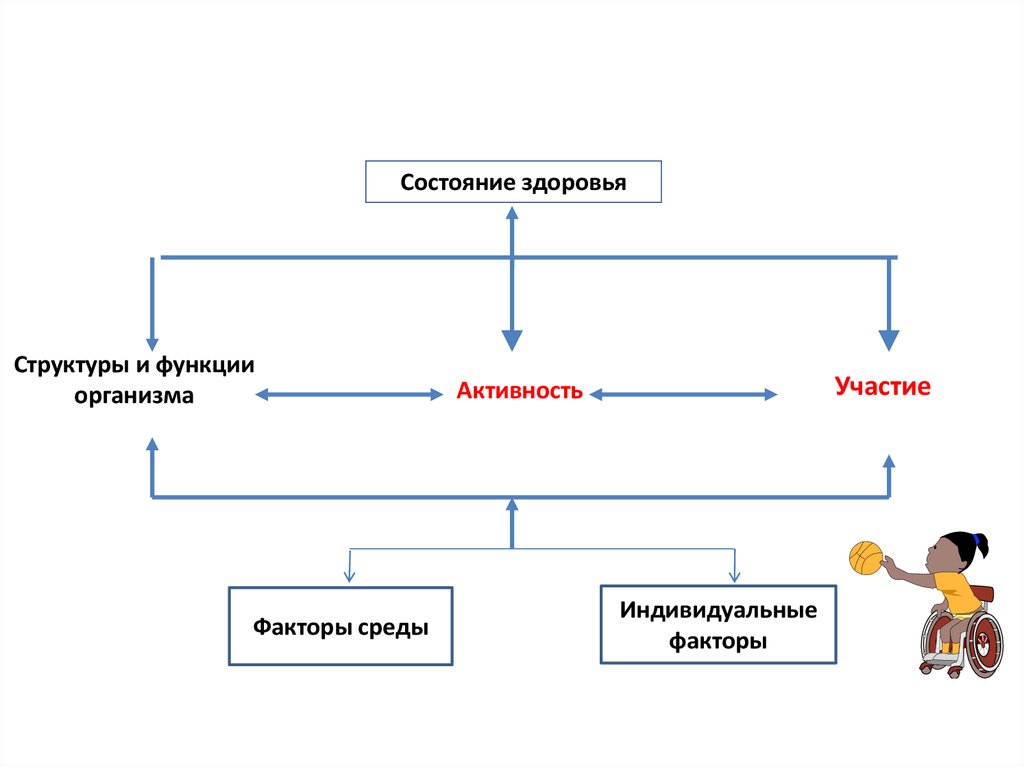 Классификация здоровья. Структура здоровья. Структура здоровья схема. Уровни структуры здоровья. Международная классификация функционирования схема.