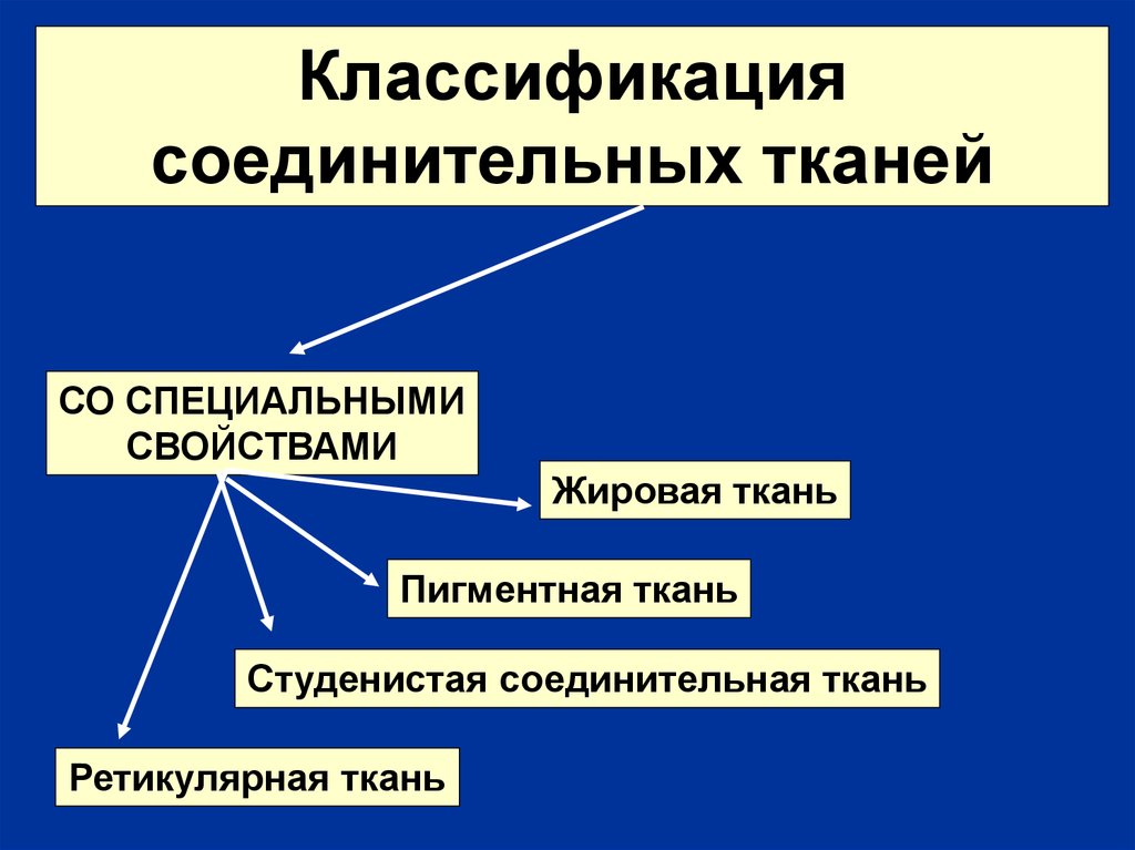 Классификация соединительной ткани. Соединительные ткани со специальными свойствами классификация. Классификация соединительной ткани ретикулярная. Соединительная ткань со спец свойствами. Соединительная ткань со специальными свойствами.