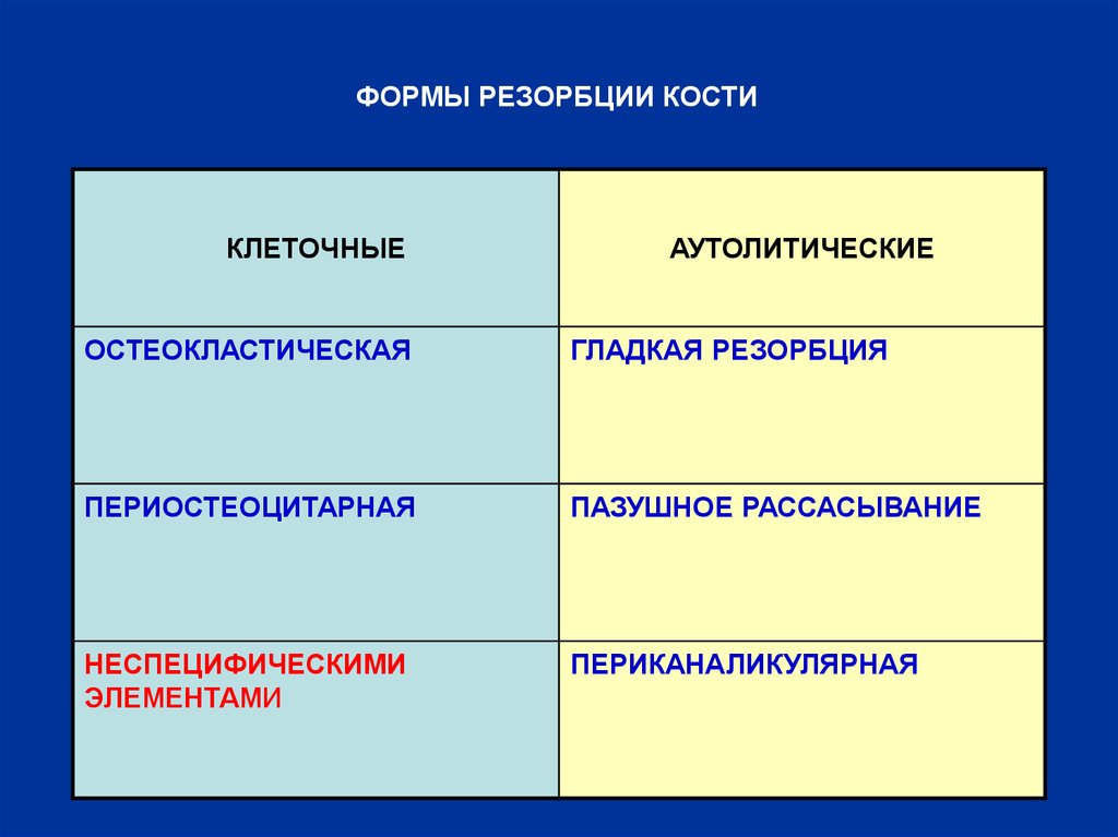 Резорбция кости