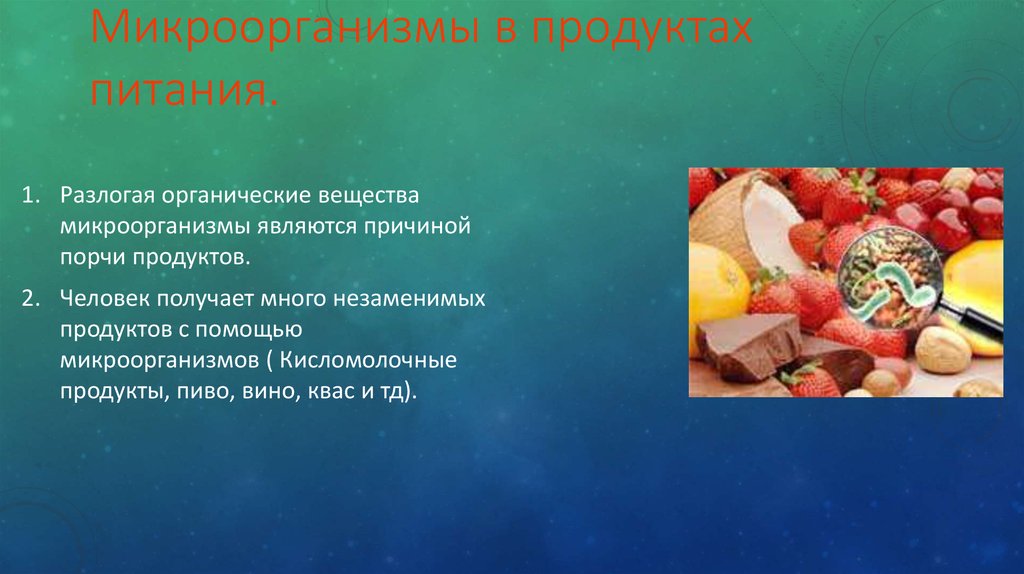 Сохранение продуктов питания проект