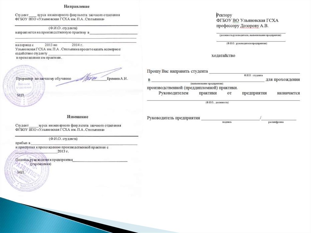 Как заполнить направление на практику образец заполнения