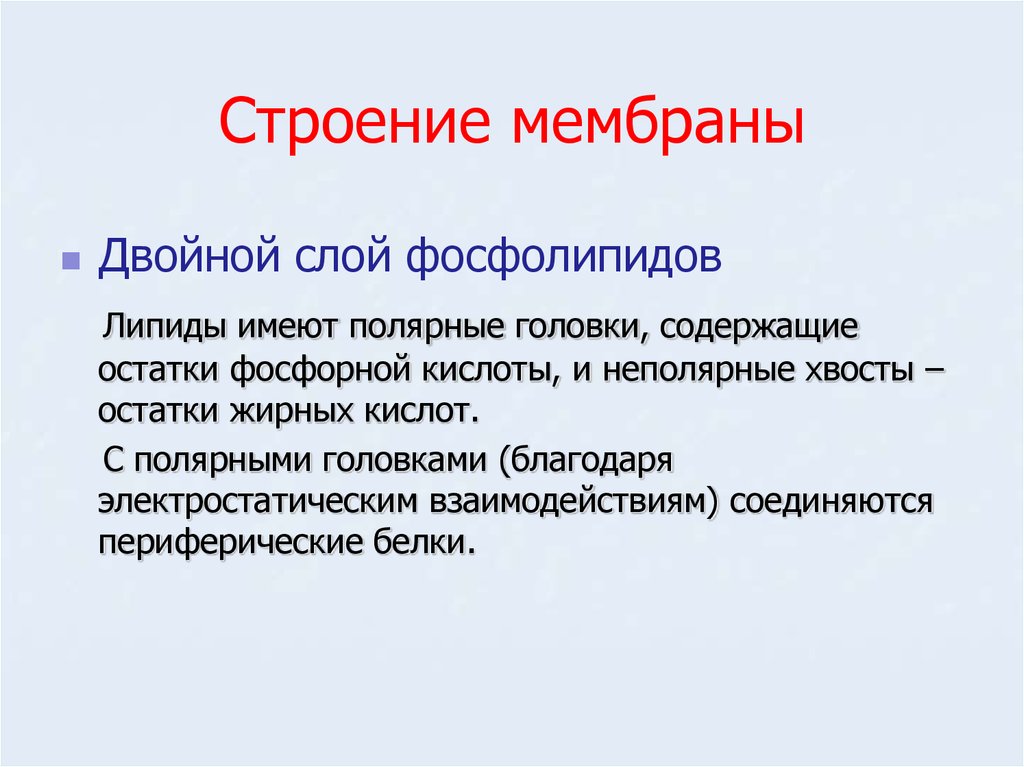 Каковы свойства оболочки. Мембранное строение имеют. Особенности строения оболочки. Двойной слой фосфолипидов. Не имеют мембранного строения.