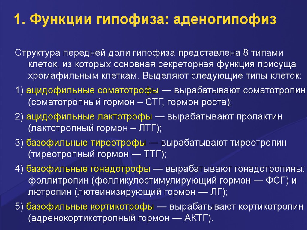 Аденогипофиз. Функции передней доли гипофиза. Функции аденогипофиза. Роль гормонов гипофиза.