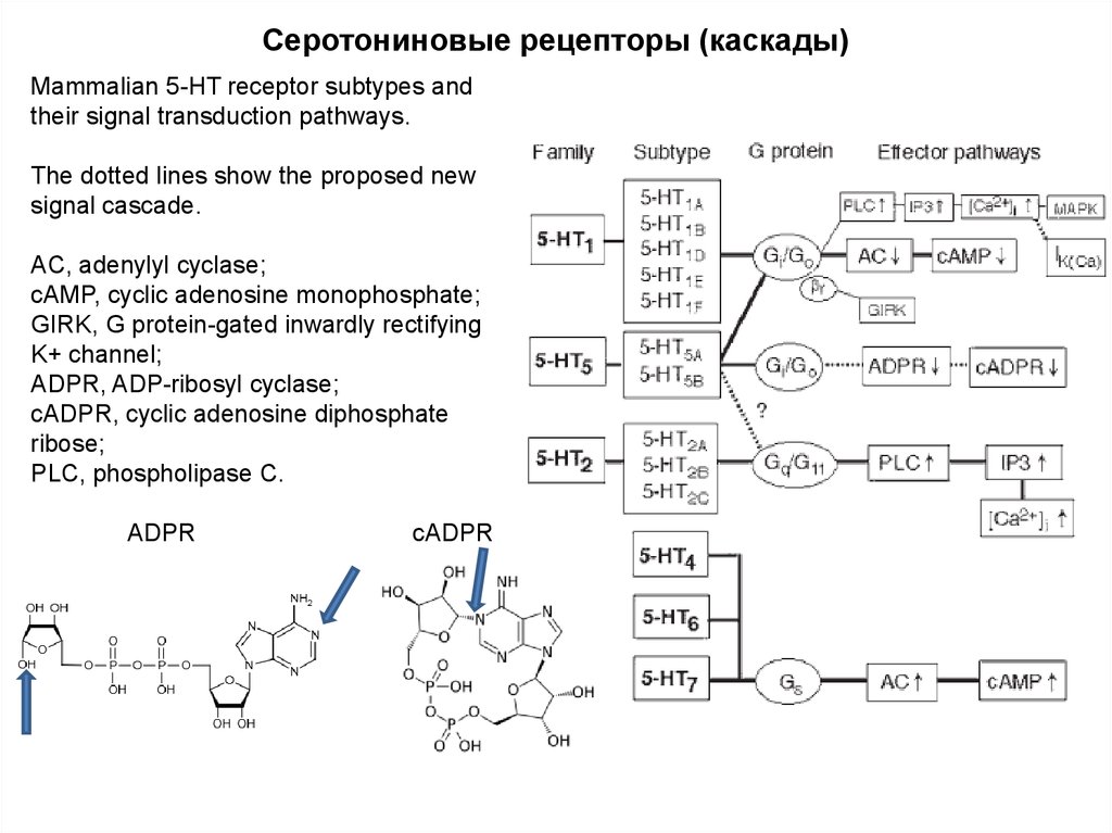 Пропали рецепторы