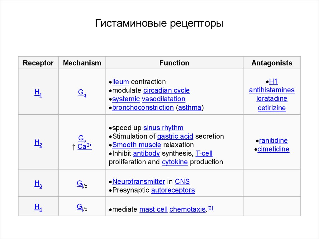 Гистаминовые рецепторы. Н1 гистаминовые рецепторы локализация. Локализация н2 гистаминовых рецепторов. H1 и h2 гистаминовые рецепторы. Н1 и н2 гистаминовые рецепторы.