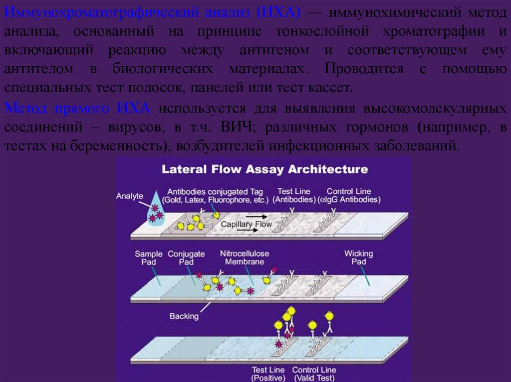 Включи реакцию. Иммунохроматографический метод микробиология. Иммунохроматографический анализ основан на принципе. Принцип иммунохроматографического метода. ИХА принцип метода.