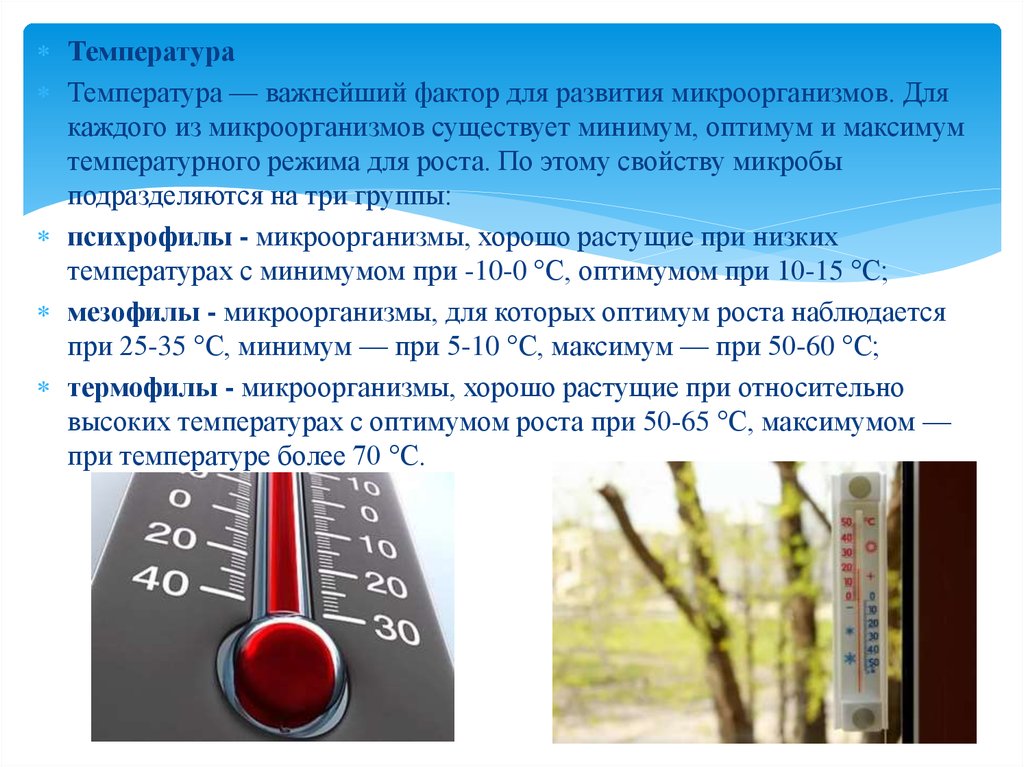 Оптимальная температура для микроорганизмов. Температура развития микроорганизмов. Температурный максимум. Температурный минимум и максимум это. Оптимальная температура для развития бактерий.