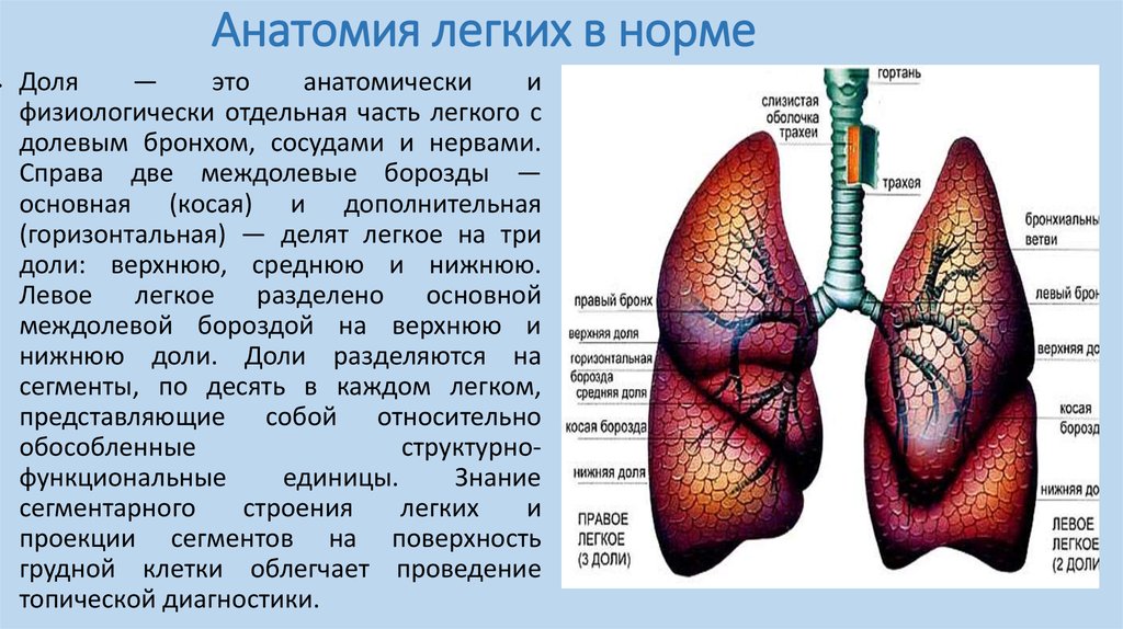 Легкое описание картинки