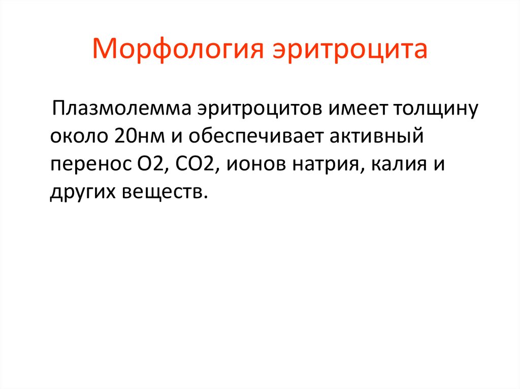 Плазмолемма эритроцита. Морфология эритроцитов анализ. Морфология эритроцитов в крови. Детерминанты групп крови имеются в плазмолемме.