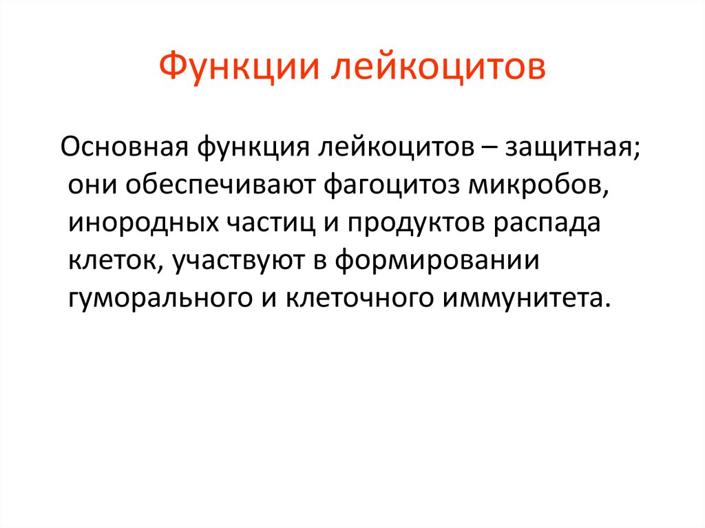 В чем состоит основная функция. Функции лейкоцитов в крови. Основная функция лейкоцитов. Функция лейкоцитов заключается. Лейкоциты выполняют функцию.