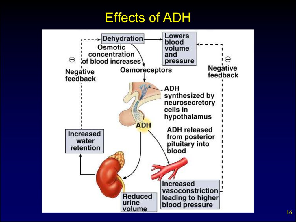 disorders of adrenal gland
