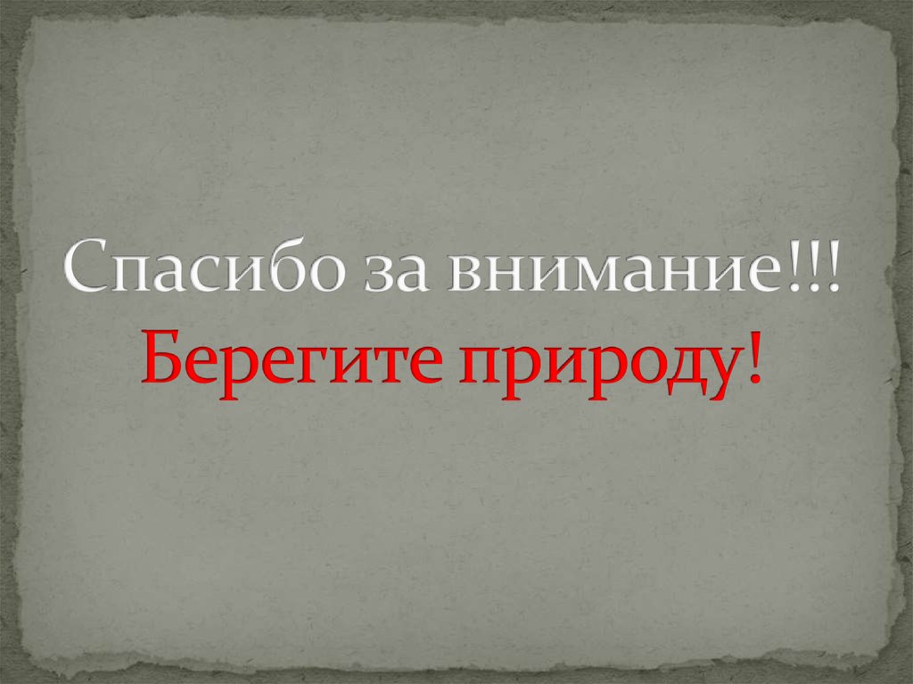 Спасибо за внимание берегите природу картинки для презентации