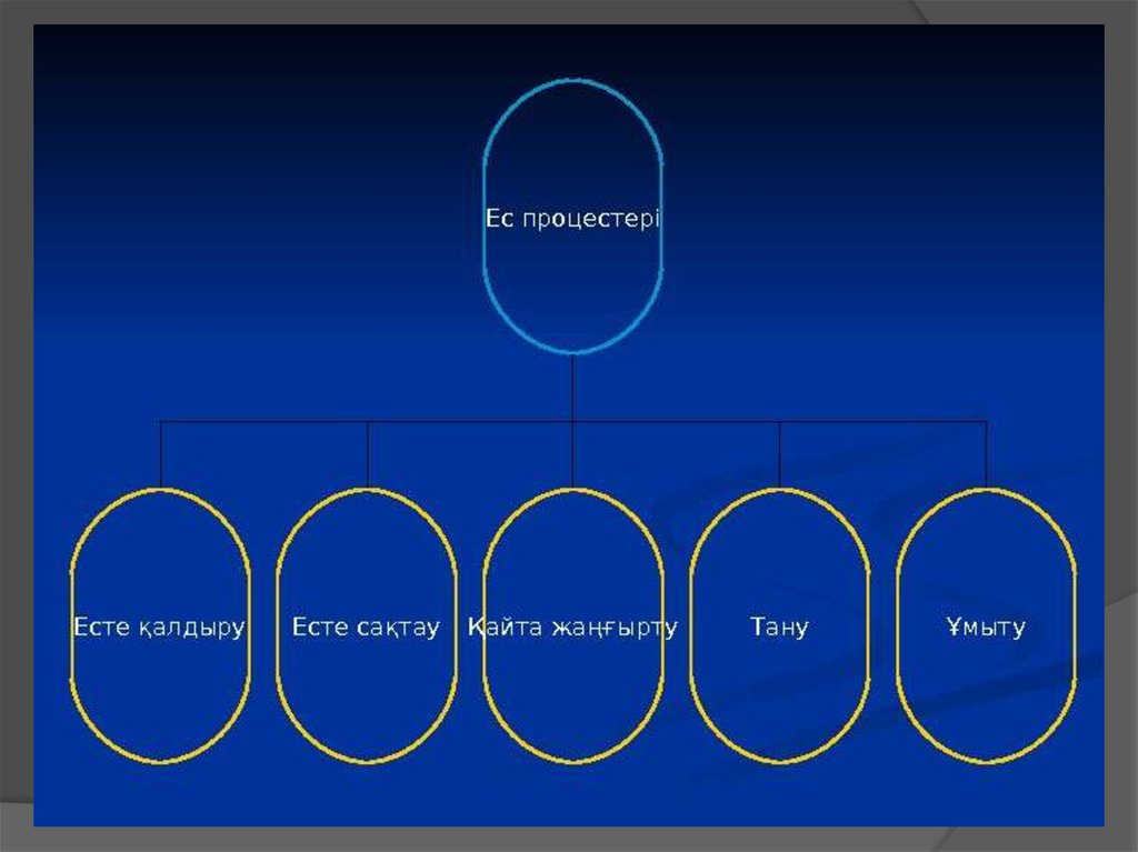 Ес туралы ұғым презентация