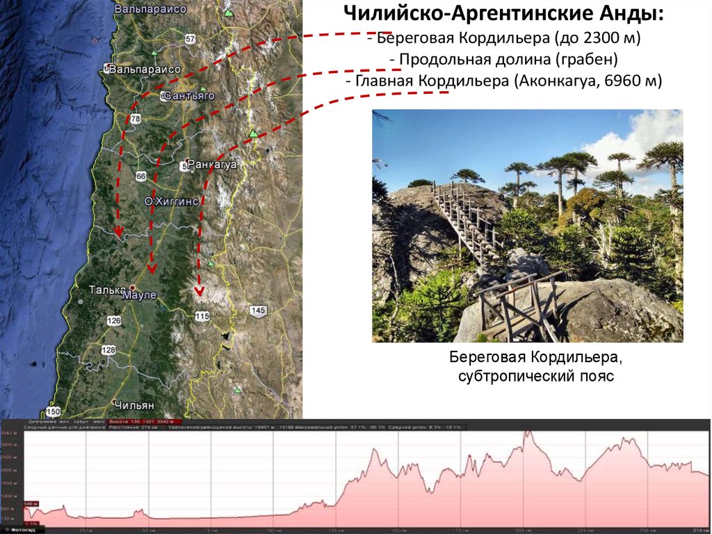 Центральные кордильеры на карте. Анды Береговая Кордильера. Береговая Кордильера анд на карте. Анды на карте. Чилийско-Аргентинские Анды на карте.