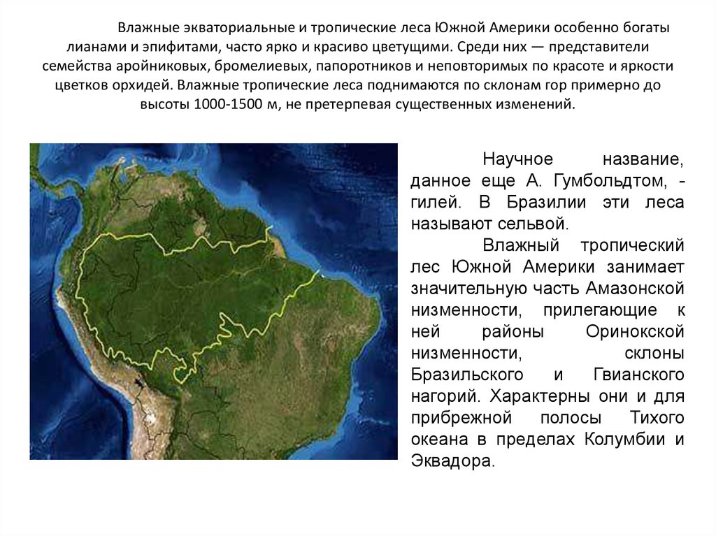 Плотность амазонской низменности